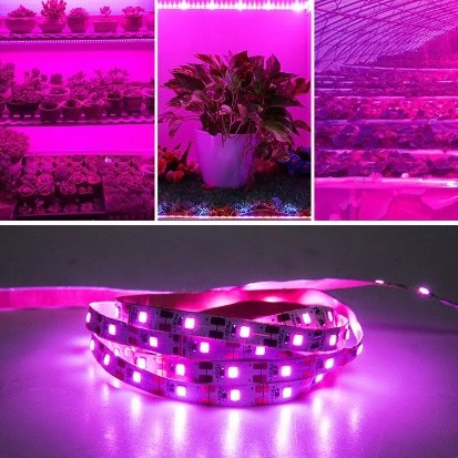 LED-фітострічка, фітолампа Full Spectrum USB 180 LED IP65 3 метри