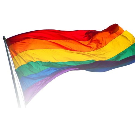Прапор райдужний, прапор фестивальний 90х60, поліестер