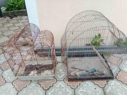 Клітка вольєр для птахів