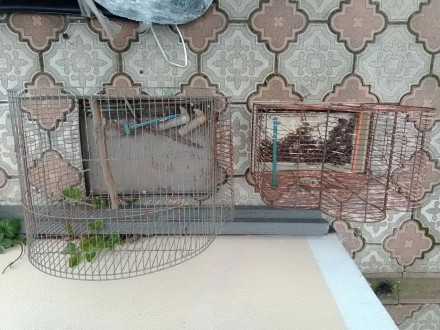 Клітка вольєр для птахів