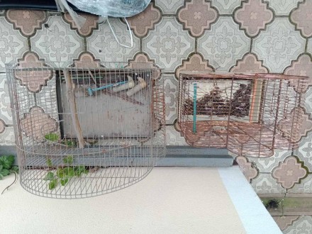 Клітка вольєр для птахів