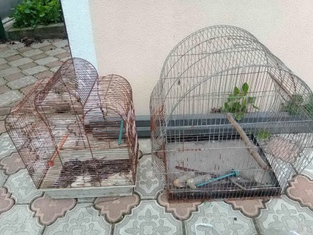 Клітка вольєр для птахів