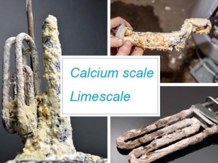 Засіб для видалення нальоту та накипу Bio Formula, 500 мл. Концентрат