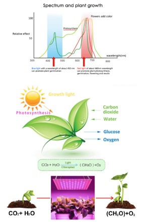 LED-фітолампа фітопрожектор фітопанель Full Spectrum 1000W