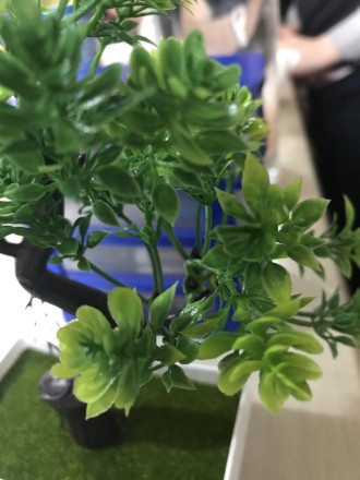 Садова композиція, інтер'єрна рослина бонсай + 1 світний чоловічок у подарунок!