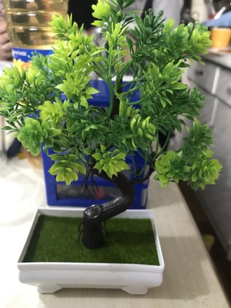 Садова композиція, інтер'єрна рослина бонсай + 1 світний чоловічок у подарунок!