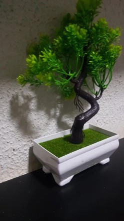 Садова композиція, інтер'єрна рослина бонсай + 1 світний чоловічок у подарунок!