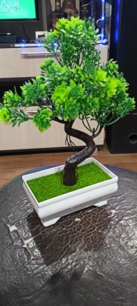 Садова композиція, інтер'єрна рослина бонсай + 1 світний чоловічок у подарунок!