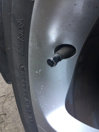 Захисні ковпачки на ніпелях, металеві Nissan Leaf (на колеса)