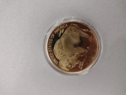 Пам'ятна, ювілейна позолочена монета, колекційна монета "Індеець" США, 2024. American Indian Buffalo