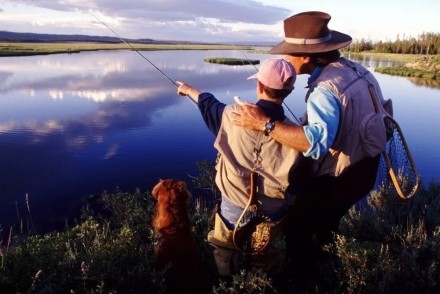 Набір рибальських гачків Fisherman у боксі асортименті