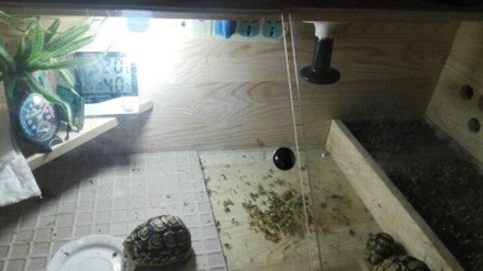 Інфрачервона нагрівальна лампа, чорна кераміка, E27 75 Вт, 100 Вт