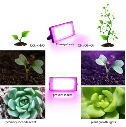 Світлодіодний ФІТО прожектор LED 50 Вт 220 V IP65 кольоровий RGB з пультом. Фітолампа