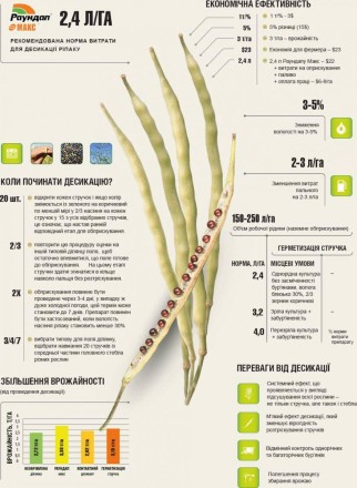 РАЙДАЛ TRANSORB — добриво, біоприладдя, органічне стимулятор росту рослин. Оригінал. 1 л