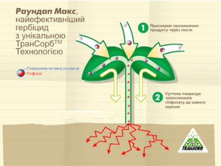 РАЙДАЛ TRANSORB — добриво, біоприладдя, органічне стимулятор росту рослин. Оригінал. 1 л