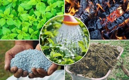 РАЙДАЛ TRANSORB — добриво, біоприладдя, органічне стимулятор росту рослин. Оригінал. 1 л