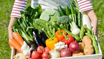 РАЙДАЛ TRANSORB — добриво, біоприладдя, органічне стимулятор росту рослин. Оригінал. 1 л