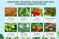 BioGrow Органічний стимулятор природного росту рослин Біогроу. ЖИДКОСТЬ-115m